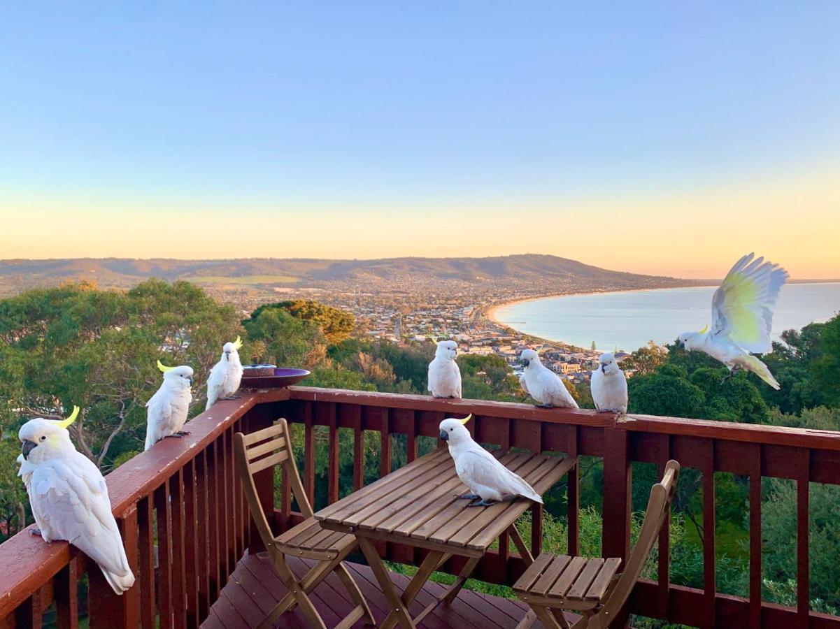 Kinoie Mornington - Oceanview Mount Martha Exterior foto