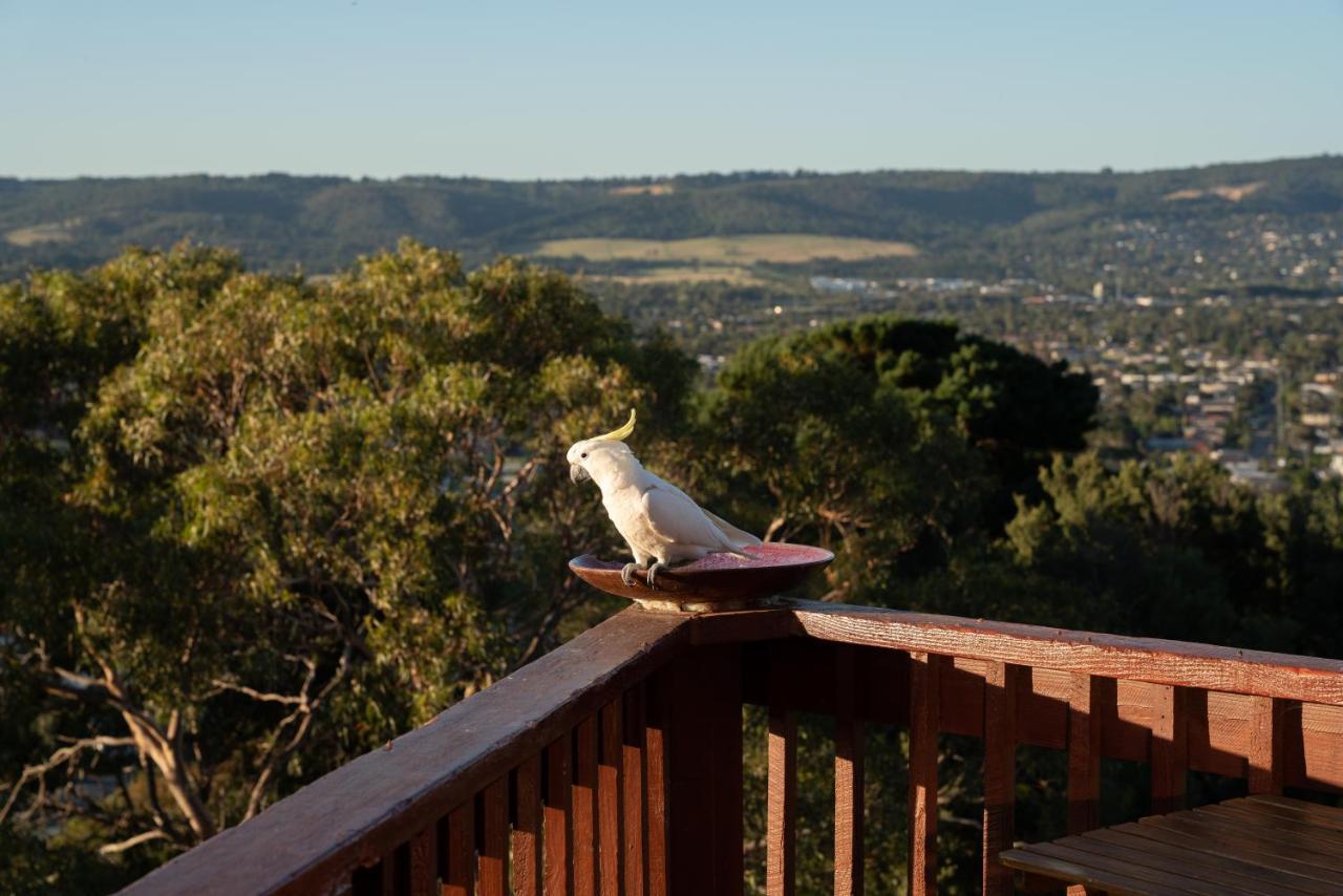 Kinoie Mornington - Oceanview Mount Martha Exterior foto